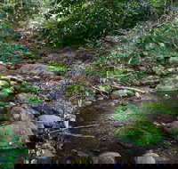 Cascades picnic area - Accommodation Mt Buller