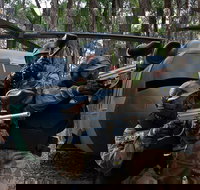 Delta Force Paintball Appin - Accommodation Mt Buller