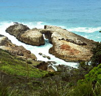 Diamond Head Loop Walk - Accommodation Mt Buller