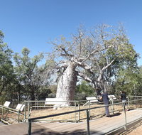 Gregory's Tree Timber Creek - Accommodation Mt Buller