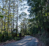 Hastings Forest Way Touring Route - Accommodation Mt Buller