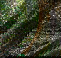 Hidden Treasure Track