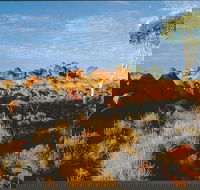 Kunjarra/The Pebbles - Accommodation Mt Buller