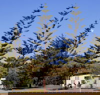 Kurrawa Park - Accommodation Mt Buller