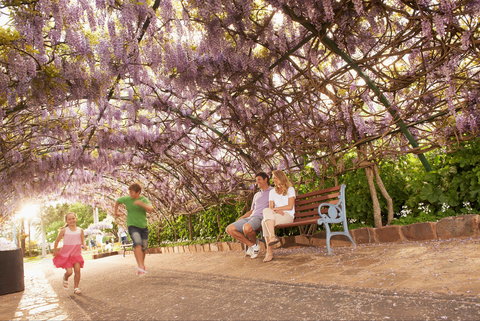 Laurel Bank Park - Accommodation Mt Buller 1