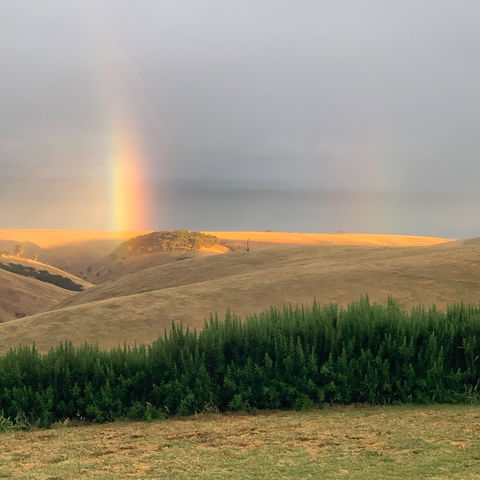 Lessismore Farm Afternoon Farmer - Accommodation Mt Buller 1
