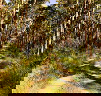 Mining Road Fire Trail Old Gibber Road Rire Trail