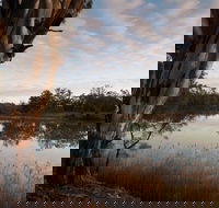 Murray-Kulkyne Regional Park - Accommodation Mt Buller