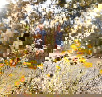 Nail Can Hill - Accommodation Mt Buller