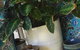 Noreen's Seaside Shop - thumb 0