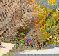 Old Great North Road - World Heritage Walk - Accommodation Mt Buller