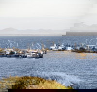 Portarlington - Accommodation Mt Buller