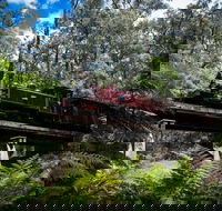 Puffing Billy Railway - Accommodation Mt Buller