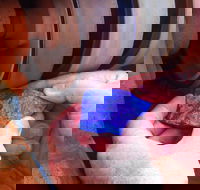 Quilpie Opal Fossicking - Accommodation Mt Buller