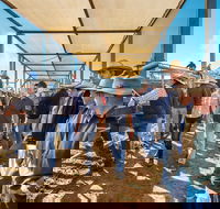 Roma - Accommodation Mt Buller