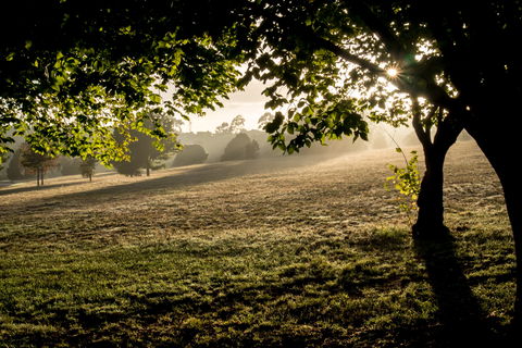Ruffey Lake Park - Accommodation Mt Buller 0