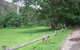 St Albans Reserve - thumb 0