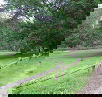 St Albans Reserve - Accommodation Mt Buller