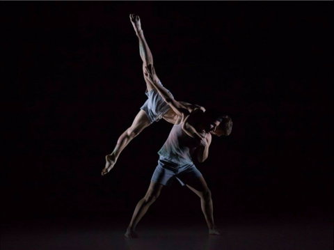 Sydney Dance Company - Accommodation Mt Buller 0