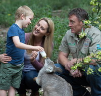 Tamworth Marsupial Park and Adventure Playground - Accommodation Mt Buller