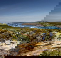 The Coast track - Accommodation Mt Buller