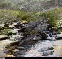 Thredbo River Track - Accommodation Mt Buller