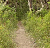 Three Views walking track - Accommodation Mt Buller