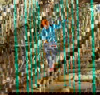 Trees Adventure Yeodene Park