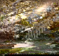 Wendy Whiteley's Secret Garden - Accommodation Mt Buller