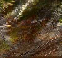 West Coast - Accommodation Mt Buller