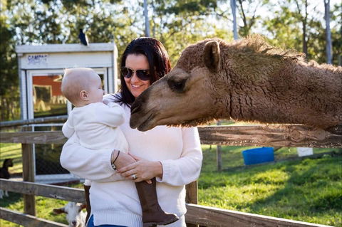 White Ridge Farm - Accommodation Mt Buller 0