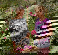 White Cottage - Accommodation Mt Buller