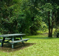 Williams River picnic area - Accommodation Mt Buller