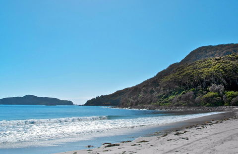Yacaaba Headland Walking Track - Accommodation Mt Buller 0