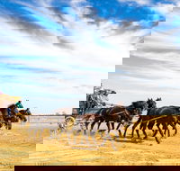 14 Day Gems of the Outback - Accommodation Mt Buller