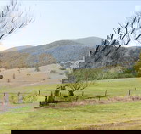 Banimboola Creek Rest Area - Accommodation Mt Buller