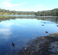 Berrara Creek - Accommodation Mt Buller