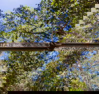 Bribie Island Bicentennial Trails - Accommodation Mt Buller