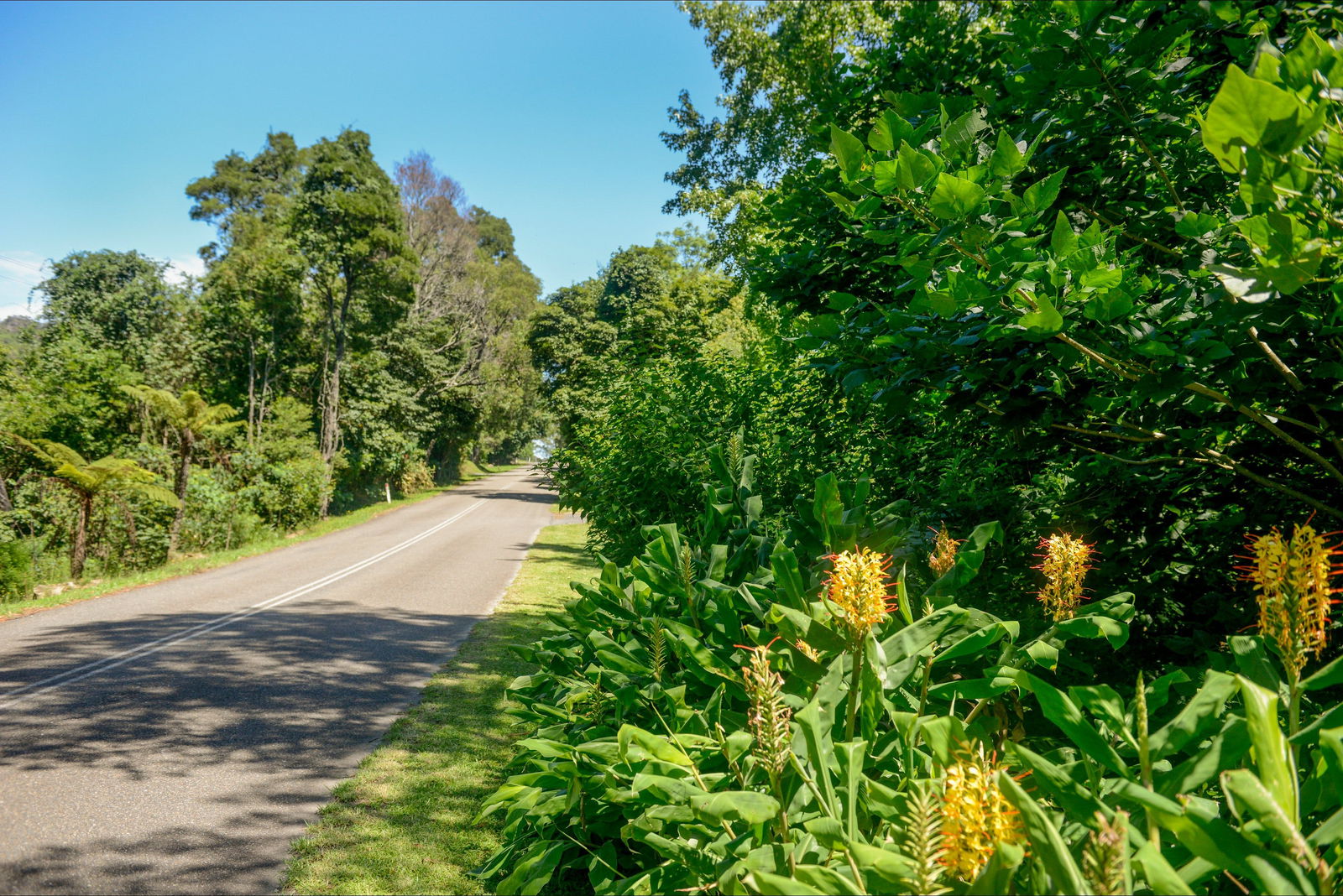 Broughton Vale NSW Accommodation Mt Buller