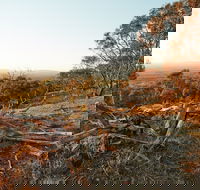 Chick Hill Walk - Accommodation Mt Buller