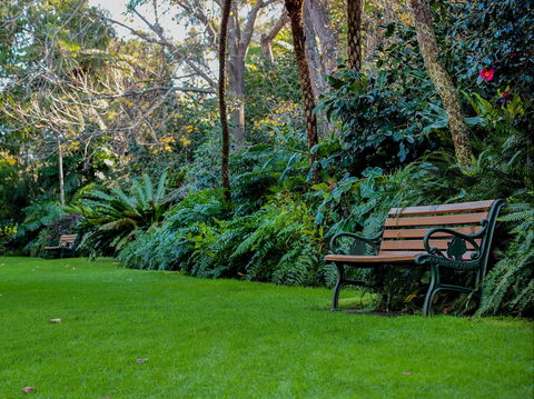 EG Waterhouse National Camellia Gardens - Accommodation Mt Buller 0
