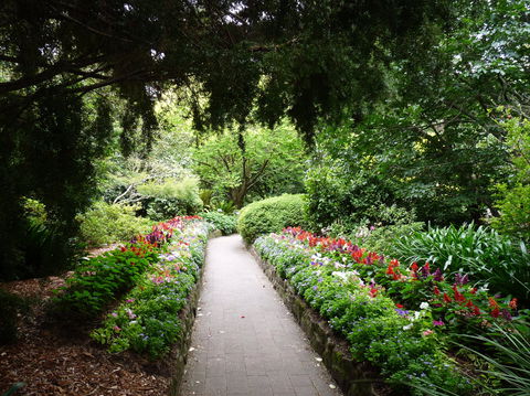 EG Waterhouse National Camellia Gardens - Accommodation Mt Buller 1