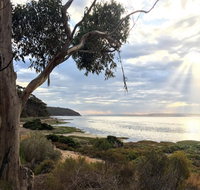 Fish Cannery Walking Trail - Accommodation Mt Buller