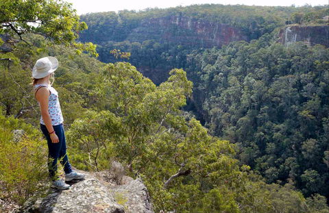 Glenbrook Gorge Track - Accommodation Mt Buller 0