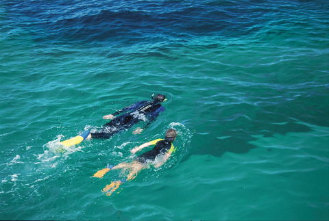 Jurien Bay - Accommodation Mt Buller 1
