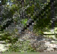 Karloo Walking Track - Accommodation Mt Buller