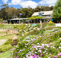 Kate's Berry Farm - Accommodation Mt Buller