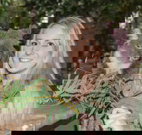 Koala Park Sanctuary - Accommodation Mt Buller