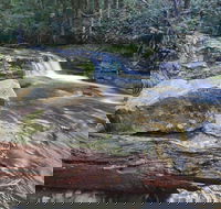 Liffey Falls Reserve - Accommodation Mt Buller