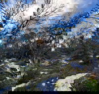 Mount Torbreck Summit Walk - Accommodation Mt Buller